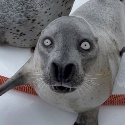 DoinbsOfficial's profile picture. doinBS / 16 y.o / 2K$ Matcherino earning / Official Player for ZERO ONE esports