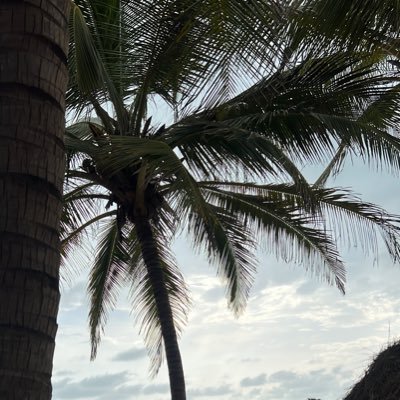 demboc585's profile picture. Love reading the Bible