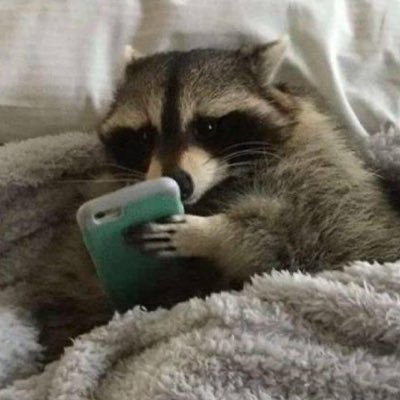 Pup_Sol304's profile picture. 