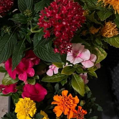 kasetheace2x's profile picture. lolololol