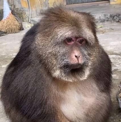 annadewitt123's profile picture. Yansın bu eller o zaman, yansın! 🏳️‍🌈