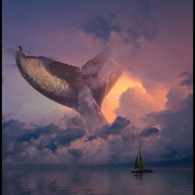 r_llv20's profile picture. غدت ذكراك شمس ما تغيب