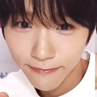 Shotarosakiki's profile picture.