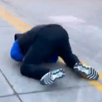 Mustachio6666's profile picture. Avian specialist. PHD in Counter-Trolling.