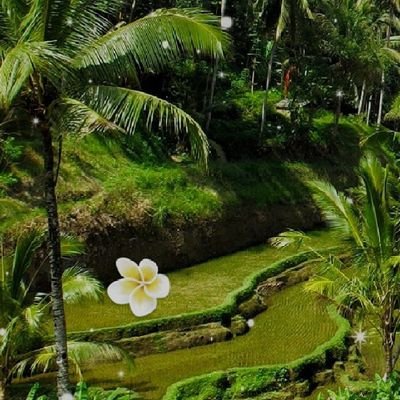 bilyaabdul6411's profile picture. 