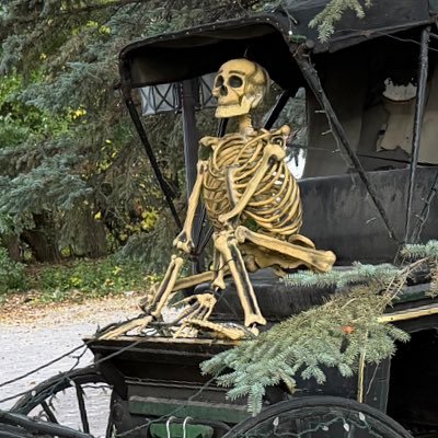 lornehanks's profile picture. @lornehanks.bsky.social