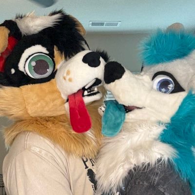 MarkWulf_'s profile picture. 18+ Femboi/Puppy 5’6 🩵 @Drifttheshep