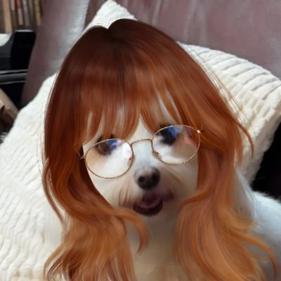 Reiman_Reason's profile picture. Chris R | Baruch: Bachelor in Economics (Minor) Psychology 
| Stony Brook: Masters in Economics |