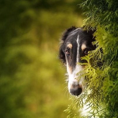 yuri_hoshino_'s profile picture. 健康が第1🍒カメラマンさんもモデルさんも見てください👀 #被写体募集 #カメラマンさん募集中 #ファッション #コーディネート #衣装 #スタイリング #作品撮り #ポージング #カメラ #メイク #豆知識 #雑学 #写真☆(@fuwari_ms)🌼 #関東 #東京 #千葉 #埼玉 #乗馬モデル #馬好き