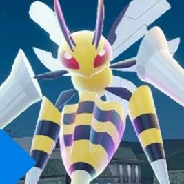 ___π¦π·π MEGA BEEDRILL'S #1 FAN Profile