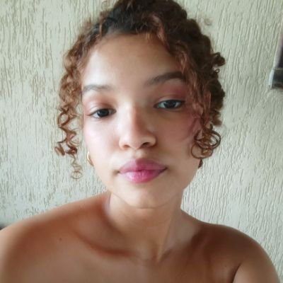 fefejava's profile picture. ᅳ diário virtual  🪲𐙚  programadora e futura auditora de controle.