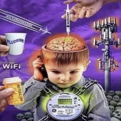 stree_5's profile picture. 🤺