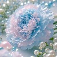 كنان (@knn2031) 's Twitter Profile