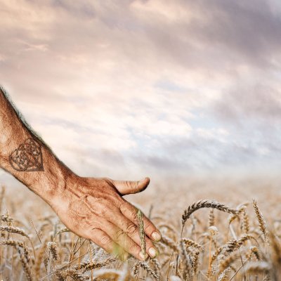 creationfilms2's profile picture. Independent Film maker Screenwriter & Director. Reform UK voter.