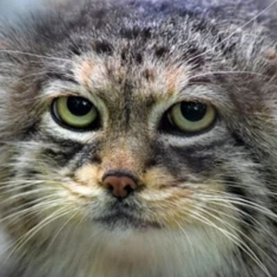 TruthsInSky's profile picture. 