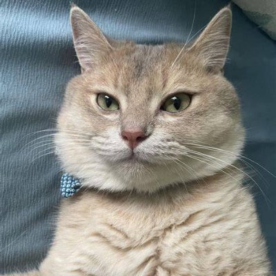 astrolol67's profile picture.