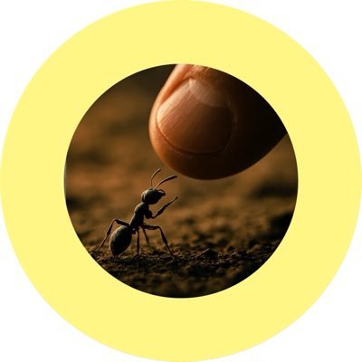 JonBigdel's profile picture. 