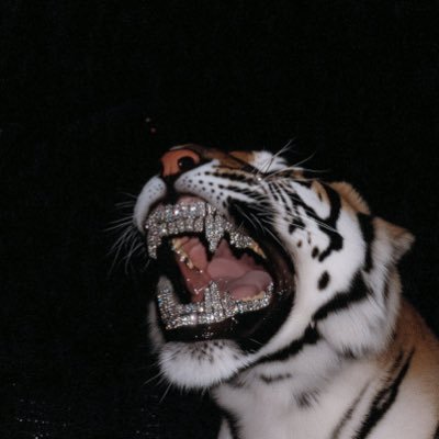 PersiaTrades's profile picture. 𝐍𝐐 | 𝐃𝐚𝐲𝐭𝐫𝐚𝐝𝐞𝐫