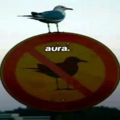 JoaoAlmeid20's profile picture. 