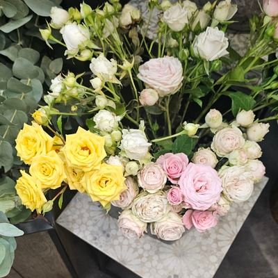asma_maryam18's profile picture. Eccedentesiast 🌸🦋🌼
Lecturer Higher Education Department  🧑‍🏫
PhD in Mind sciences 🧠 👩🏻‍🎓
🇵🇰 🇮🇹 🇳🇴
