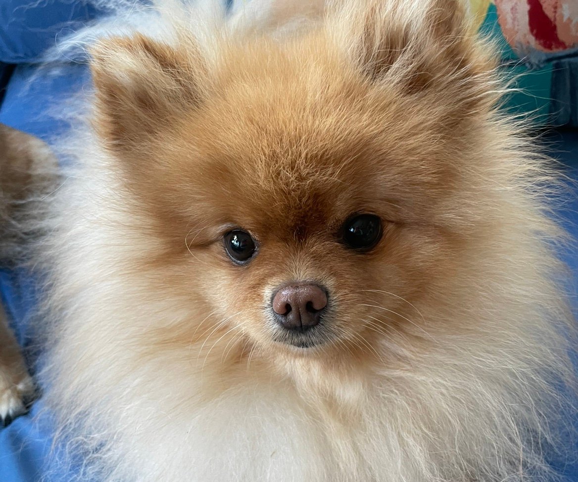 JeannineRegBar's profile picture. 