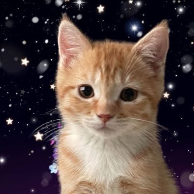 @borahaemeow