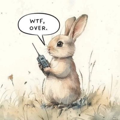 SDeluca29287's profile picture. In the hopes to bring this place down, I migrated to bluesky. 

So you think utopia can't exist? I just feel sorry for you. 

this x place is a wasteland.