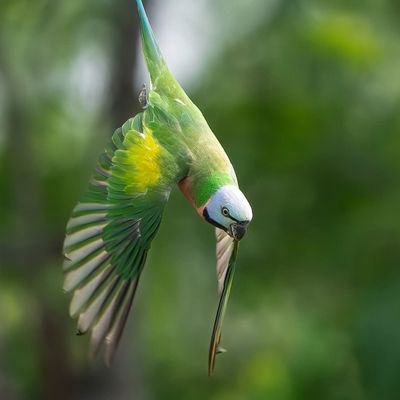 nascoalpha's profile picture. ✦ Software Engineer | Domain Investor | Founder of Algorove.
✦ Teaching you Tech Tips.
✦ Get smarter about Tech: ❤️️ Follow me!
✦ Inquire below ☟: