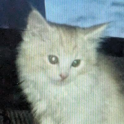 pansylovers's profile picture. he/they | 24 | 🔞