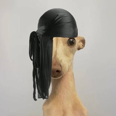 Cheapbrosgang's profile picture. If u love NFT join our discord community
https://t.co/aRda4dBiTk