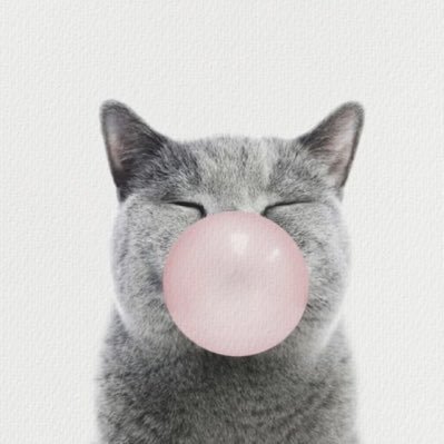 bunnirollss's profile picture. ˚˖✧˚.⋆ we lost track of space, we lost track of time