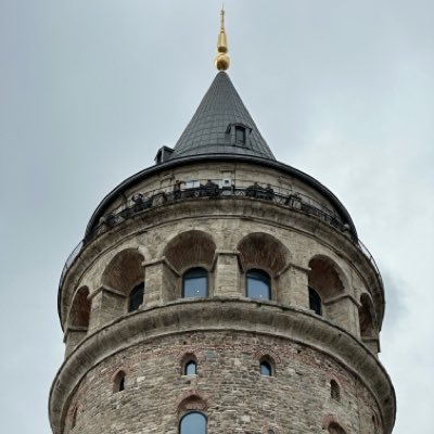 _dilbrmm's profile picture.