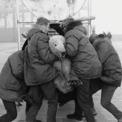 etdohawaii's profile picture. the enemy speaks kindly & holds a knife