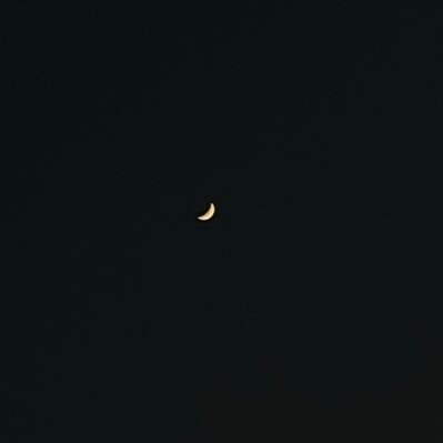 izahectic's profile picture. RMU'25
stand by it🍒