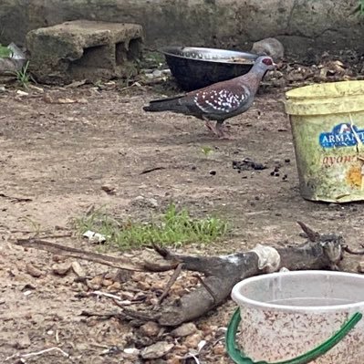 Kantong694517's profile picture. 