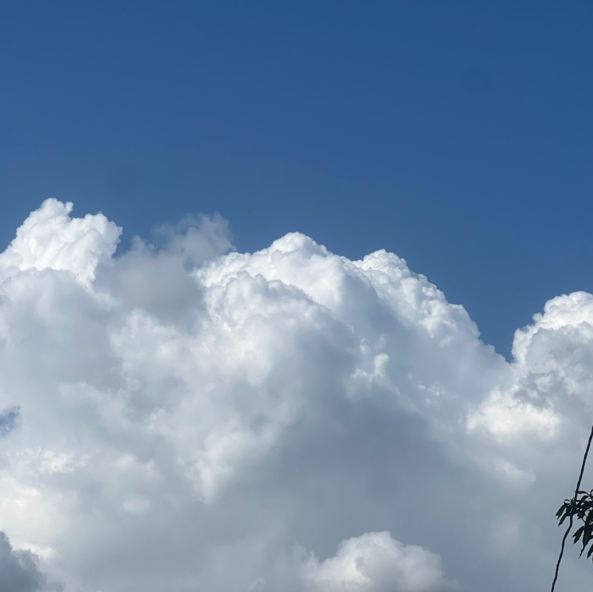 johnsmitha7z's profile picture. 