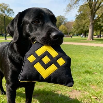 kaxetu's profile picture. ♤ Crypto || Research || Learner || Football ♤