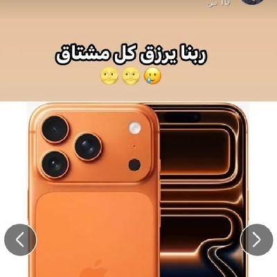 only_ghusen's profile picture. do you really want to know anything about me ? I think we all know the answer..👻