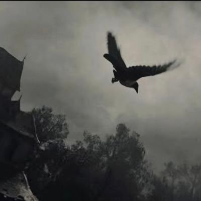 Yusuf202982's profile picture. At koşar, baht kazanır...