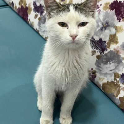 pinaryilmaz__'s profile picture. 