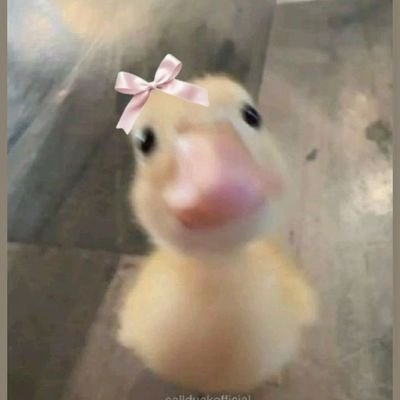 Yaemllkoo's profile picture.