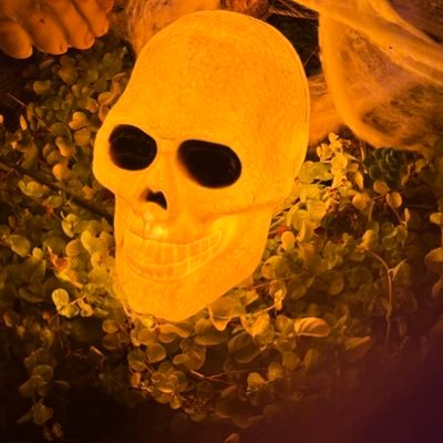 macroschema's profile picture. 