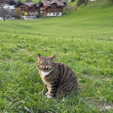 jkhhh0901's profile picture. 