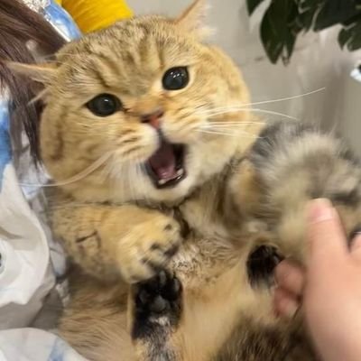 Matthew71778200's profile picture. 