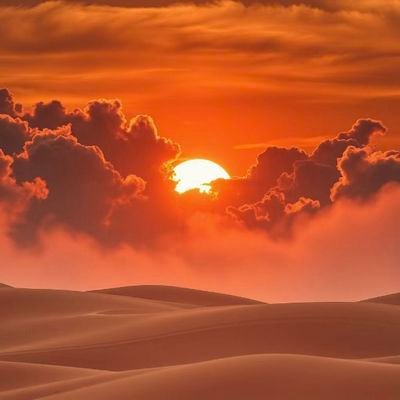 fengyun944245's profile picture. 