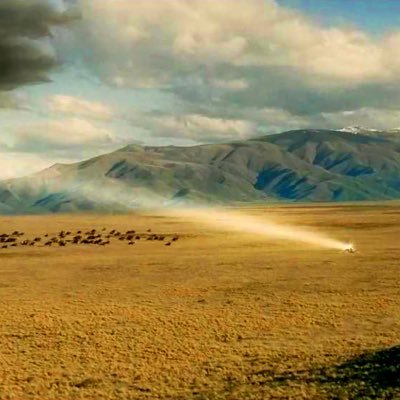 WilliamBarr_'s profile picture. 