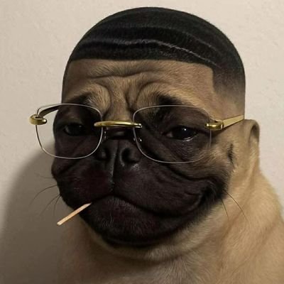 DynastySR77's profile picture. Scouting Agent for the best sh!! on Twitter