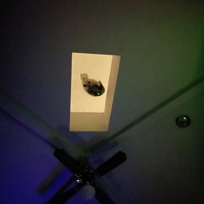 yyymariayyy's profile picture. 