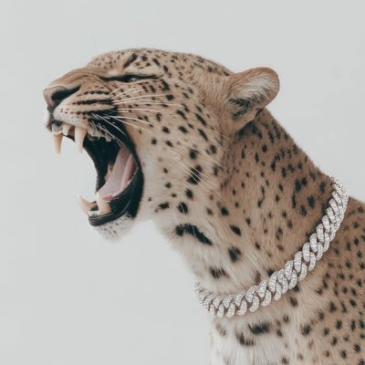@h_aN1BAL