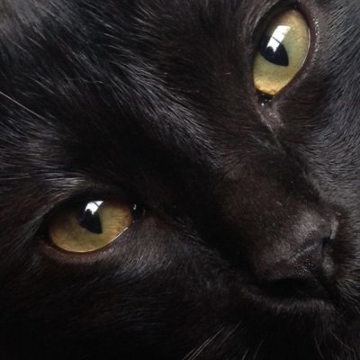 codewithdora's profile picture. #studytechbr | computer science — ufjf ☾